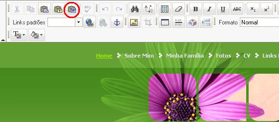 Colar do Word no Construtor de Sites