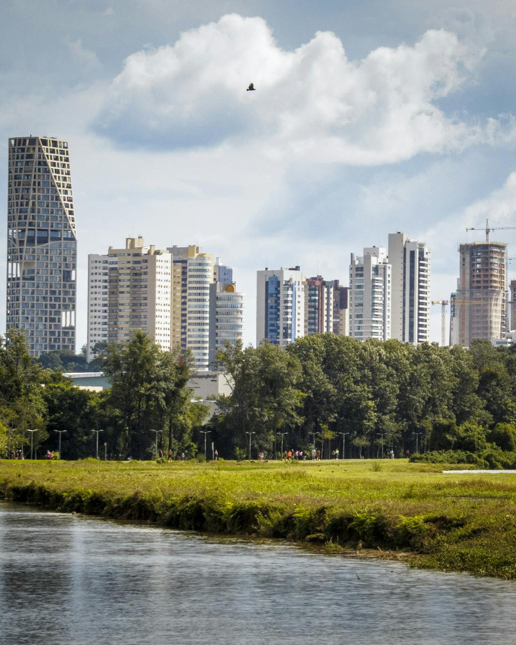 curitiba cityscape with modern high rises and park