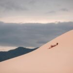 model lying down on hill on desert