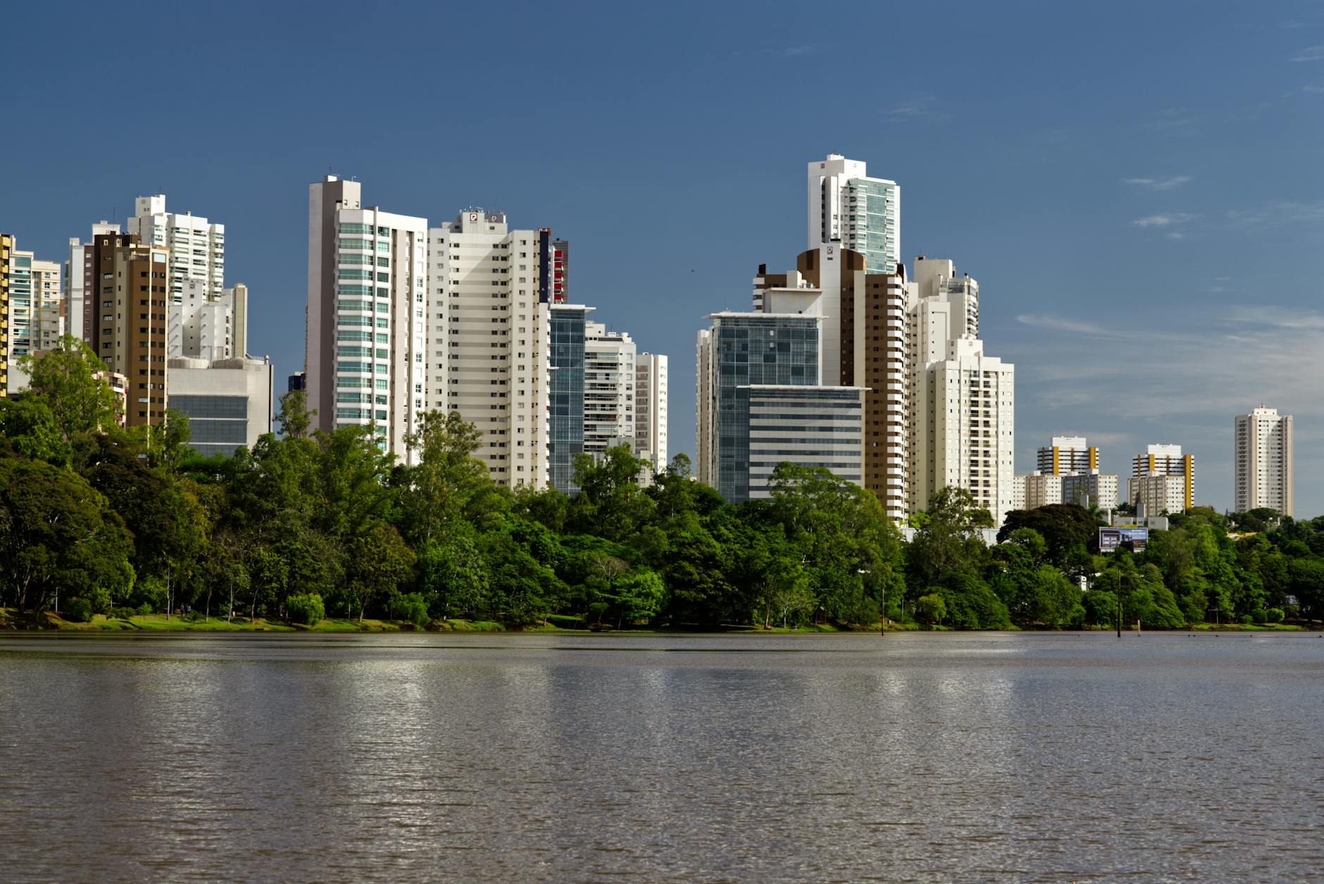 green trees near body of water