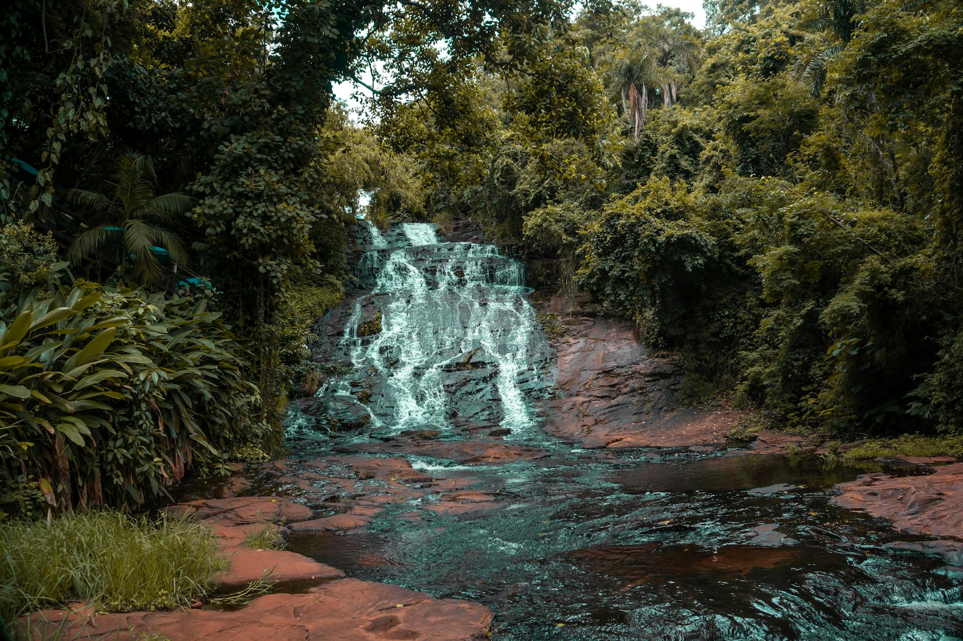 stream of water going down the rocks by the trees